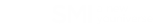 SMI - Servizi e consulenza IT, progettazione domotica